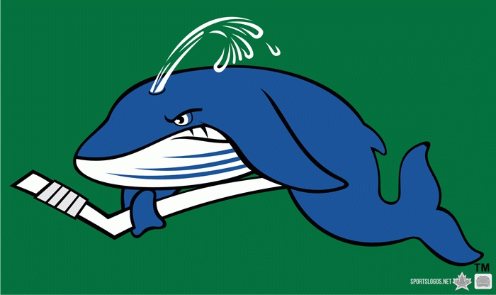 Connecticut Whale 2010-2013 Secondary Logo iron on transfers for T-shirts